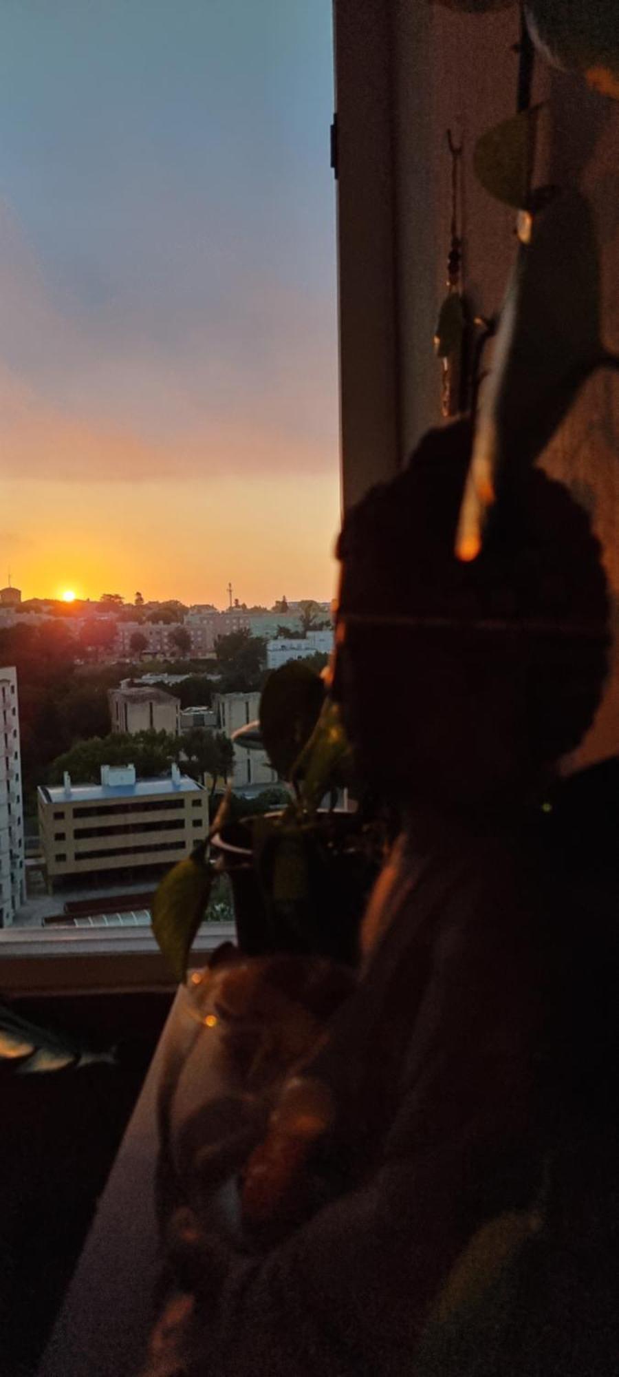 Casa Do Mocho Private Room In Lisbon パコ・デ・アルコス エクステリア 写真